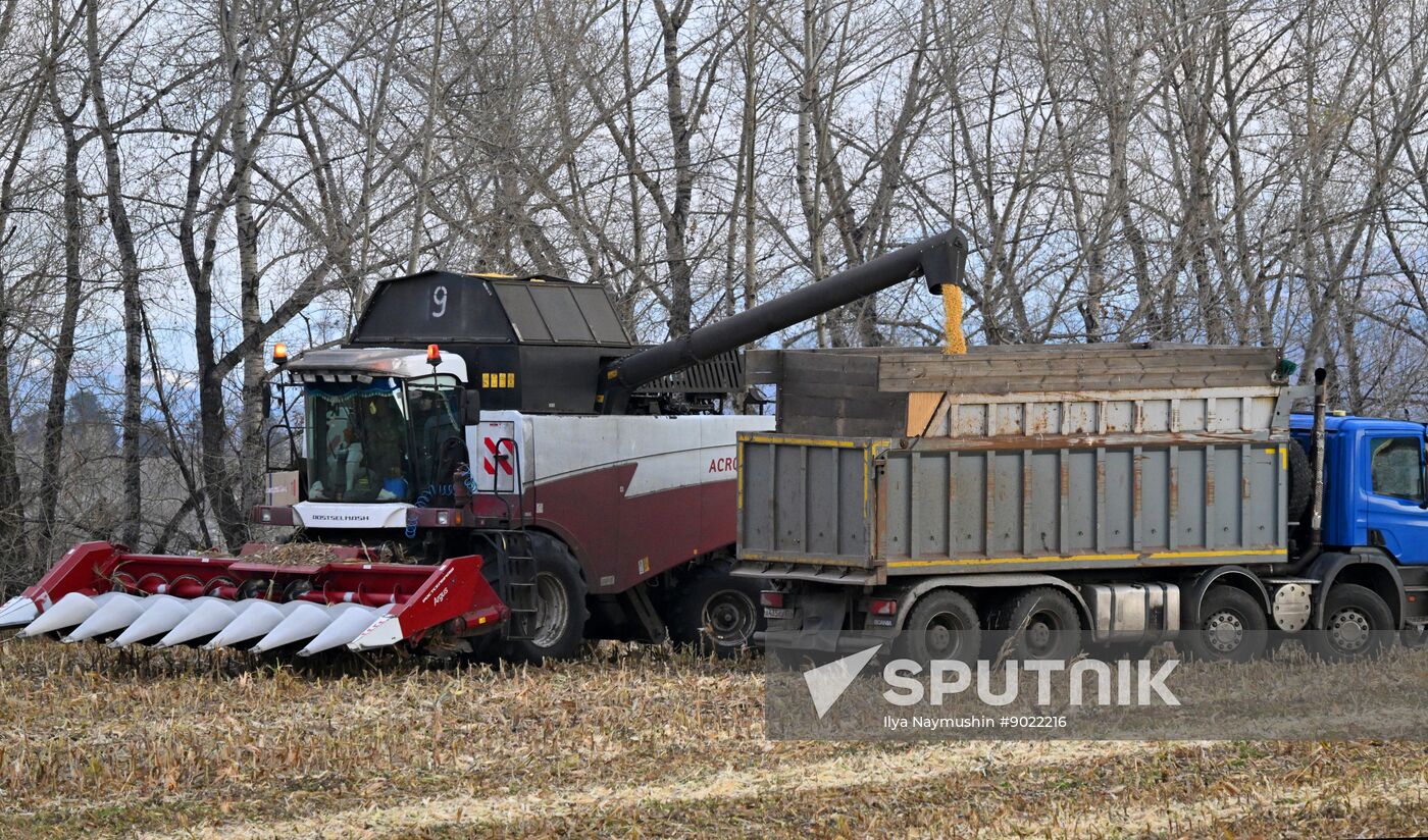 Russia Agriculture Farming