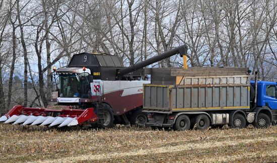 Russia Agriculture Farming