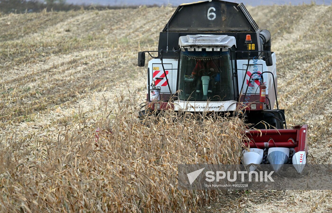 Russia Agriculture Farming
