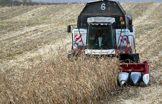 Russia Agriculture Farming