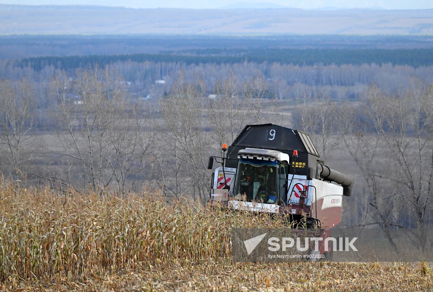 Russia Agriculture Farming