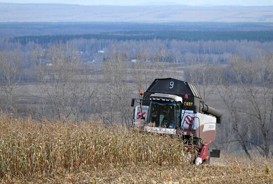 Russia Agriculture Farming