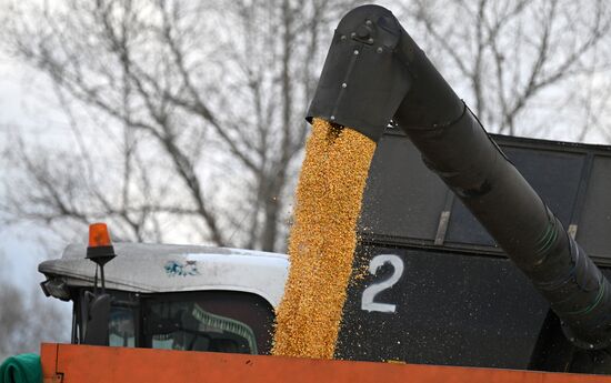 Russia Agriculture Farming