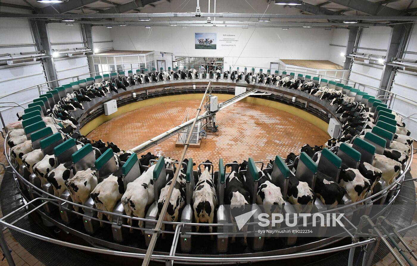 Russia Agriculture Farming