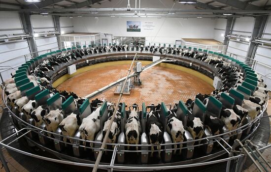 Russia Agriculture Farming