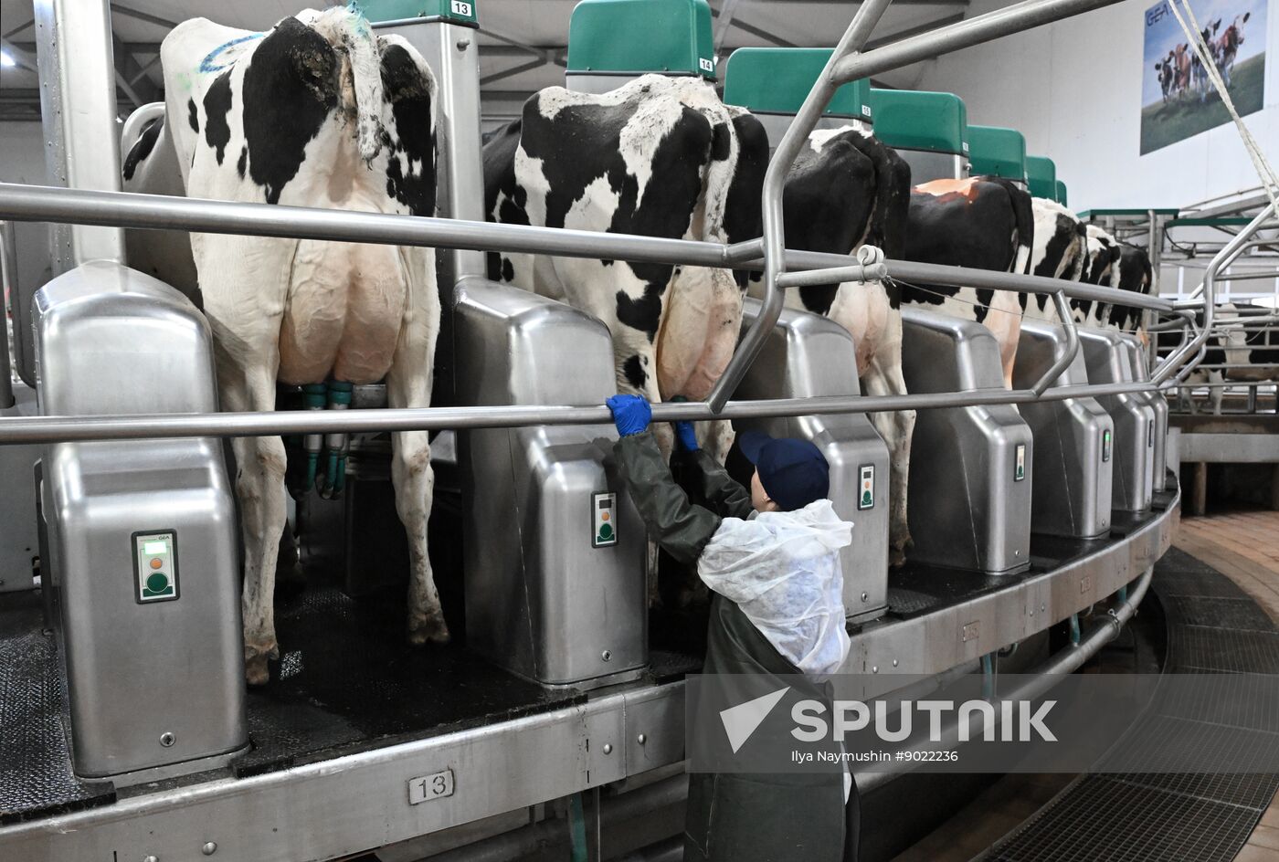 Russia Agriculture Farming