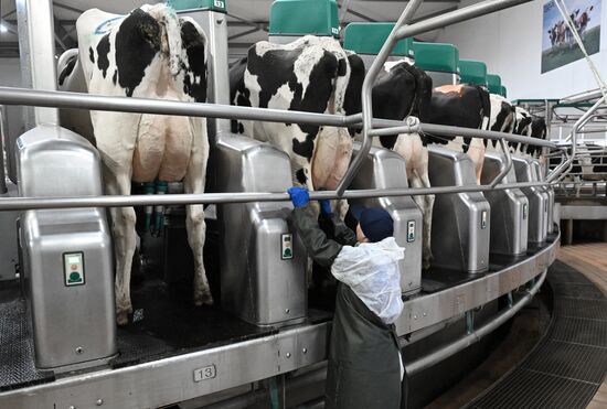 Russia Agriculture Farming