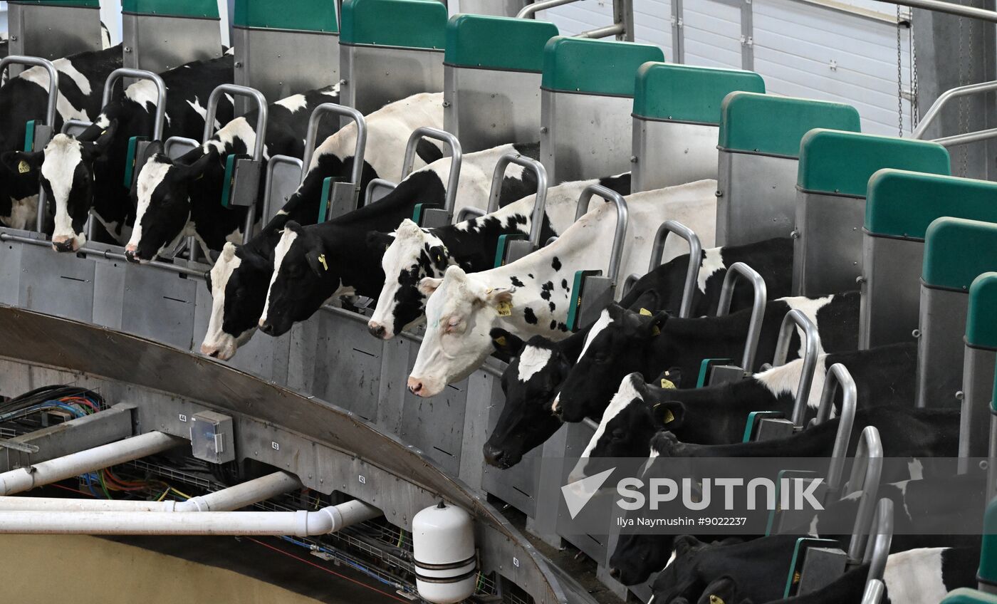 Russia Agriculture Farming