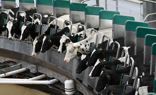 Russia Agriculture Farming