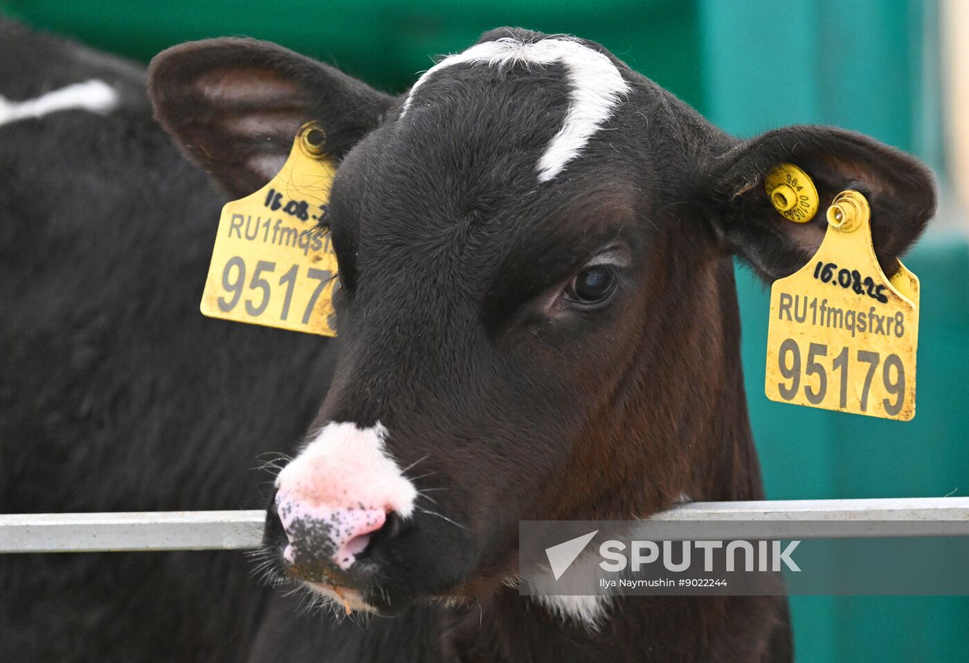 Russia Agriculture Farming