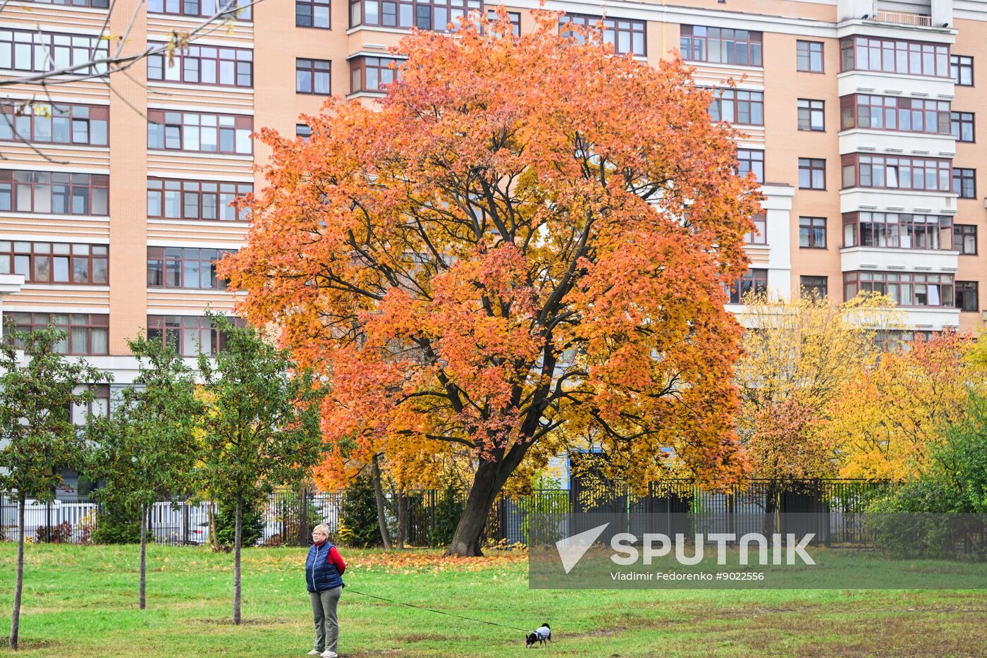 Russia Daily Life