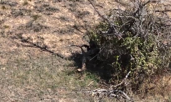 Russia Pakistan Anti-Terrorism Drills