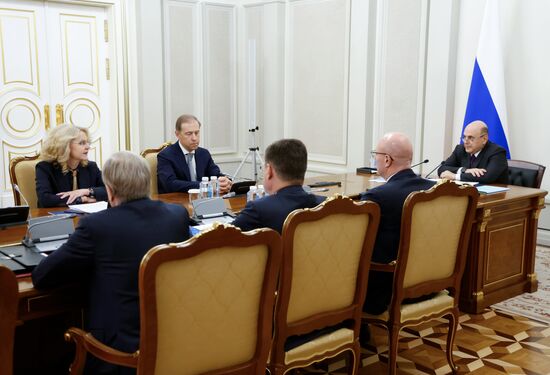 Russia Mishustin Deputies