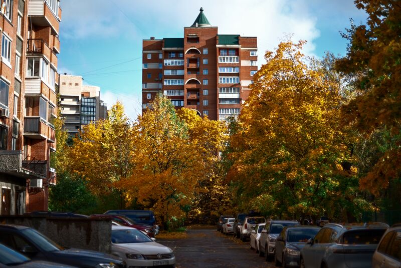 Autumn Colours