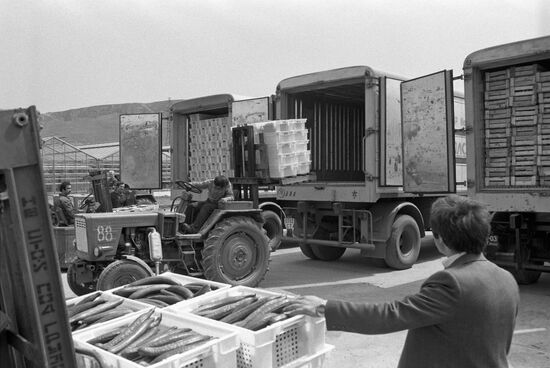 Yuzhny combine state farm