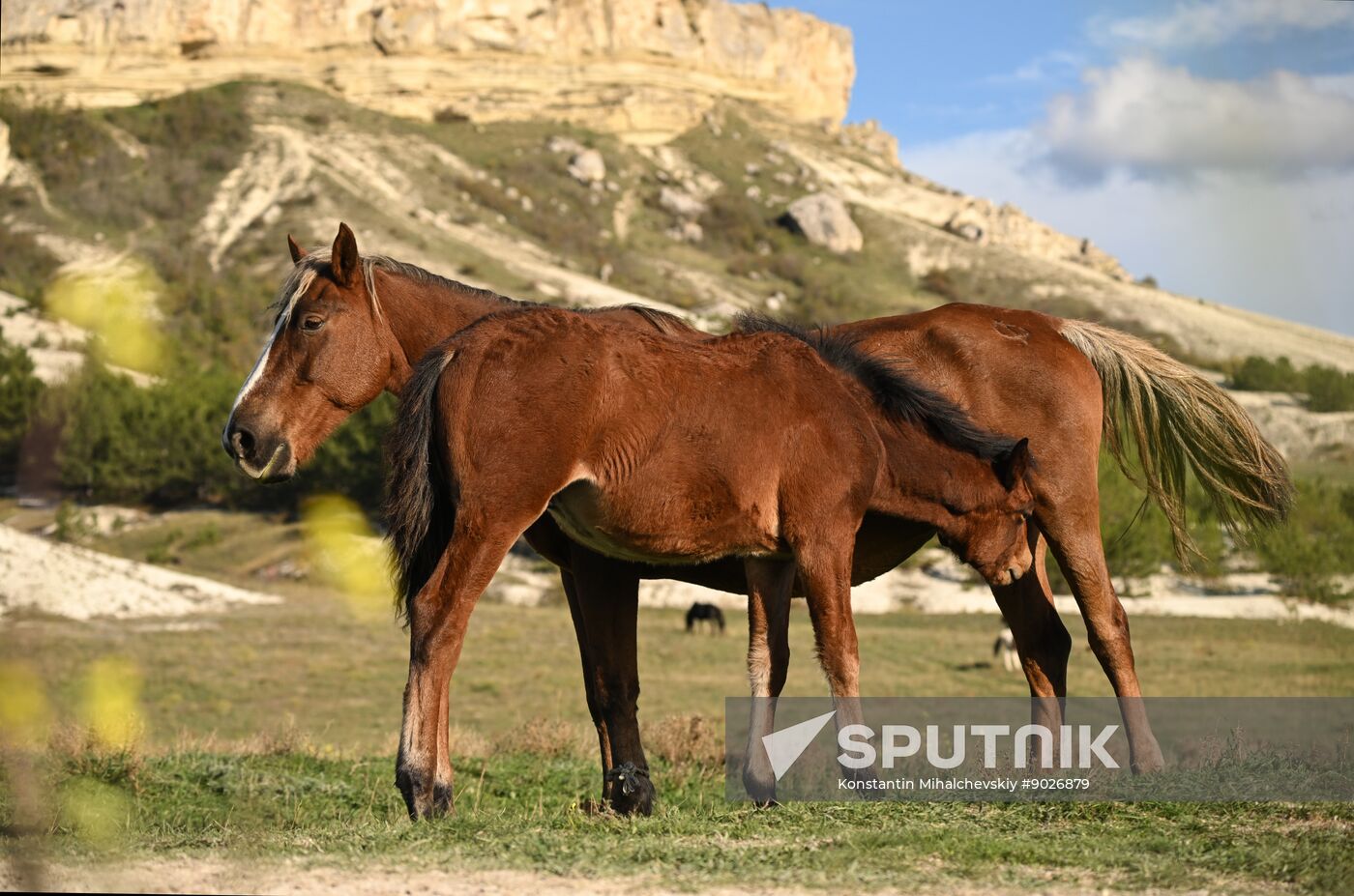 Russia Crimea Environment