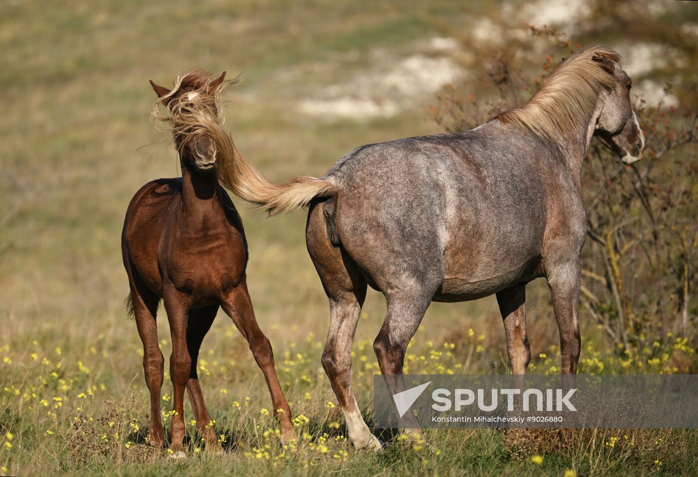 Russia Crimea Environment
