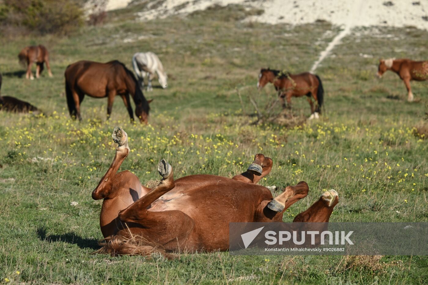 Russia Crimea Environment