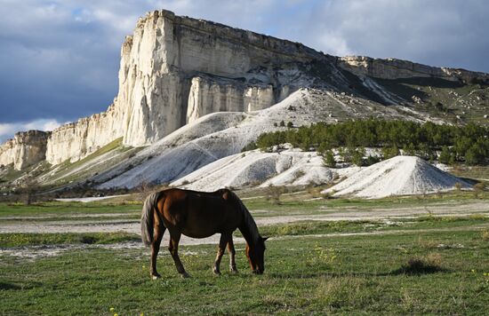 Russia Crimea Environment