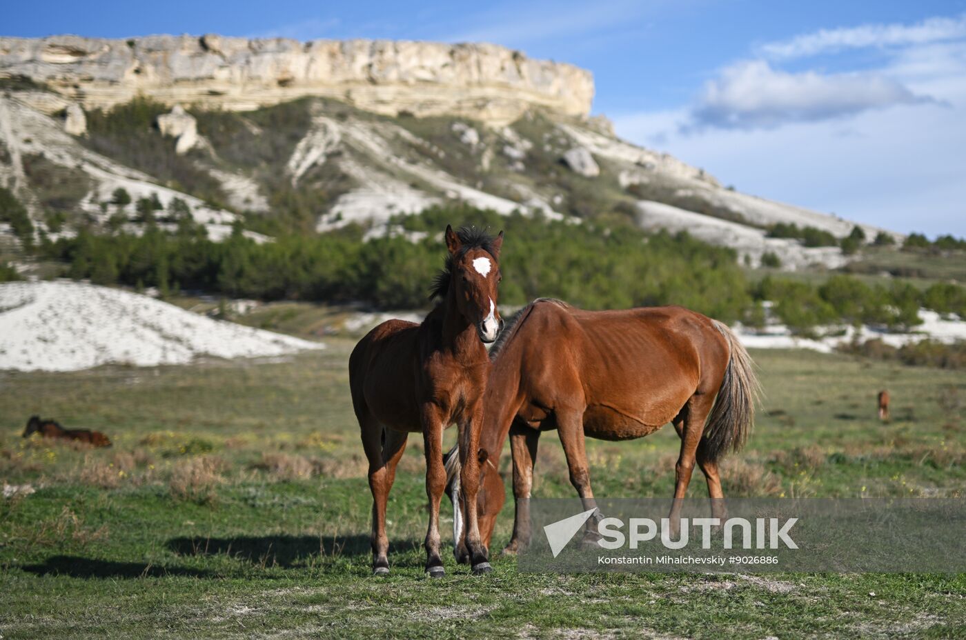 Russia Crimea Environment
