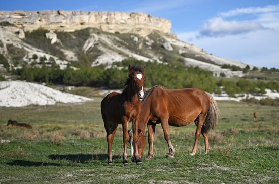 Russia Crimea Environment