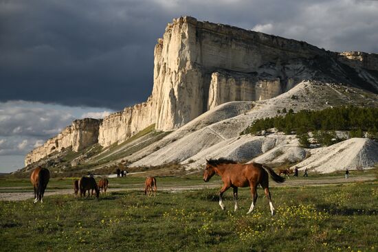 Russia Crimea Environment
