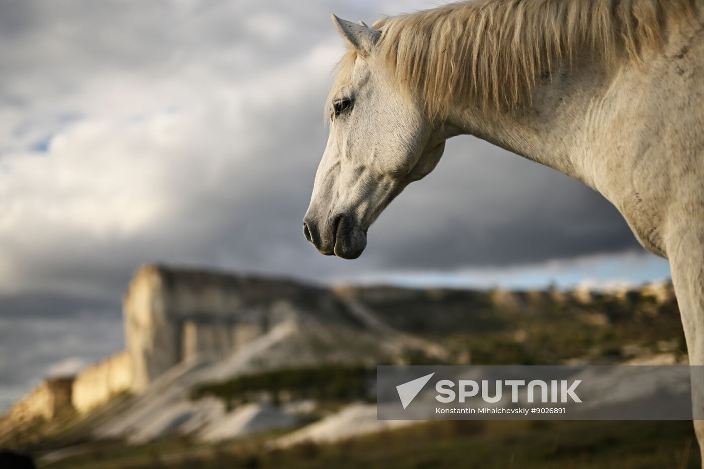 Russia Crimea Environment