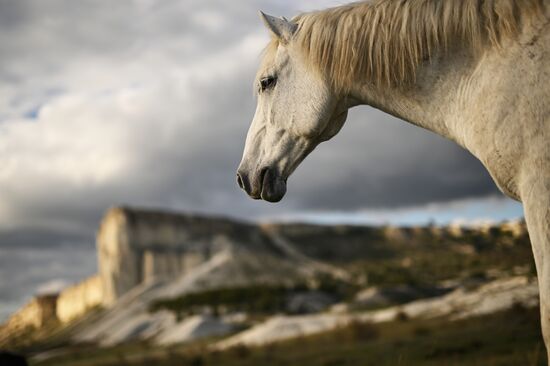 Russia Crimea Environment