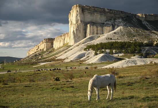Russia Crimea Environment