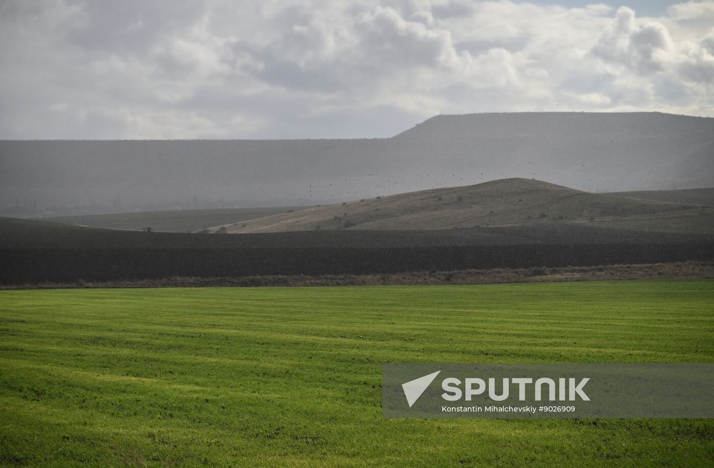 Russia Crimea Environment