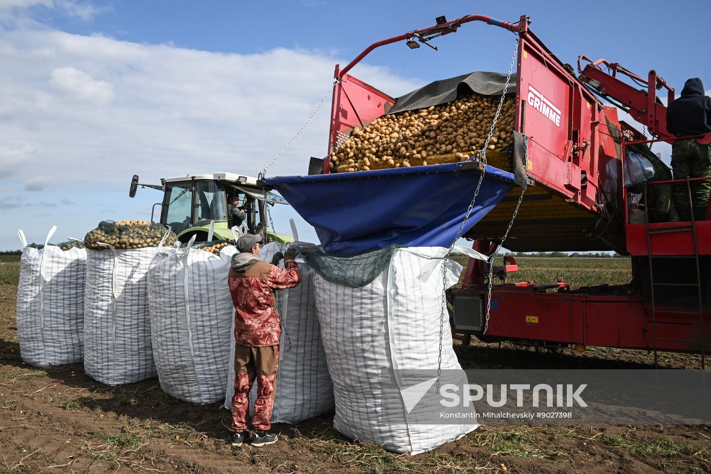 Russia Agriculture Vegetables Harvesting