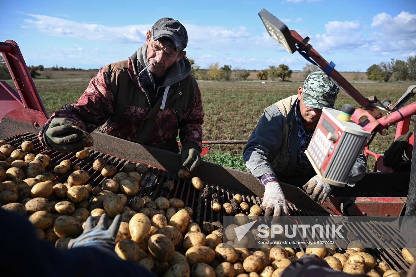 Russia Agriculture Vegetables Harvesting