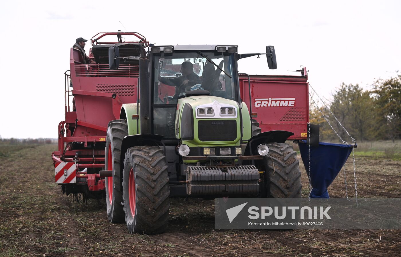 Russia Agriculture Vegetables Harvesting