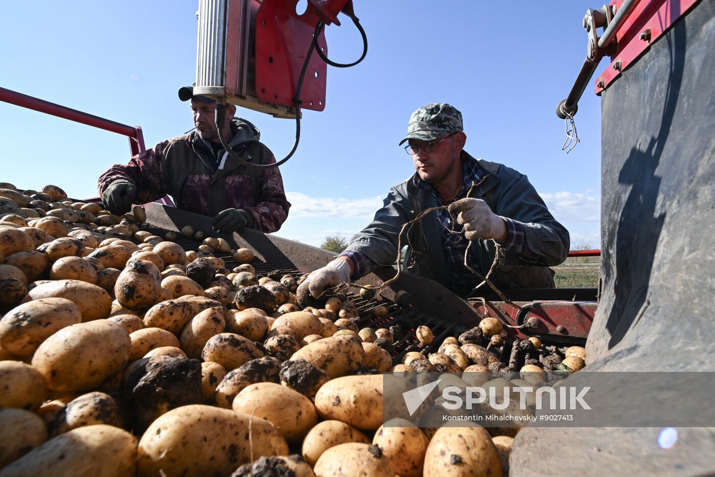 Russia Agriculture Vegetables Harvesting