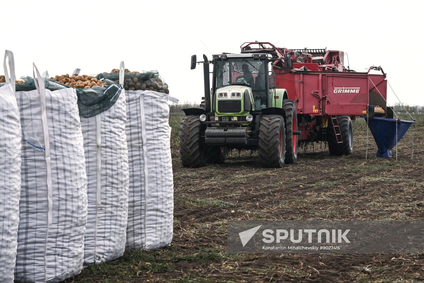 Russia Agriculture Vegetables Harvesting