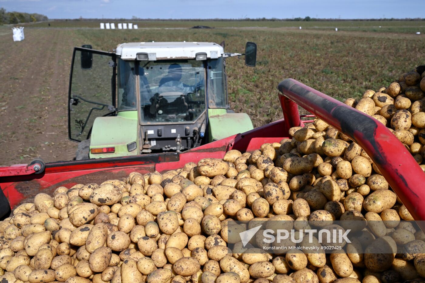 Russia Agriculture Vegetables Harvesting