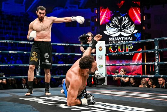 Russia Martial Arts Muaythai Friendship Cup
