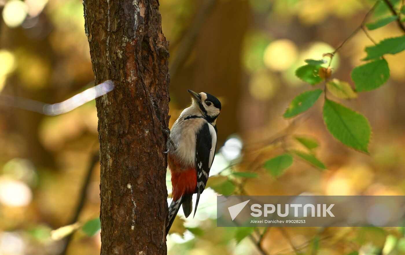 Russia Regions Daily Life