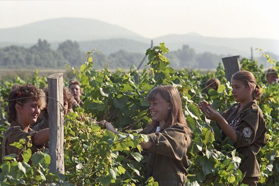 Rabochaya Smena National Labor Camp in Sukko Valley