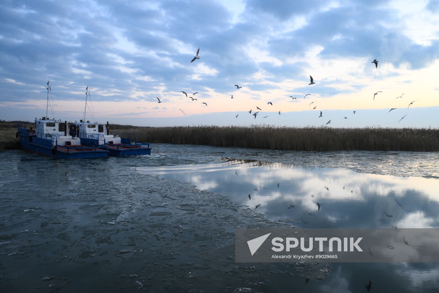 Russia Fish Industry