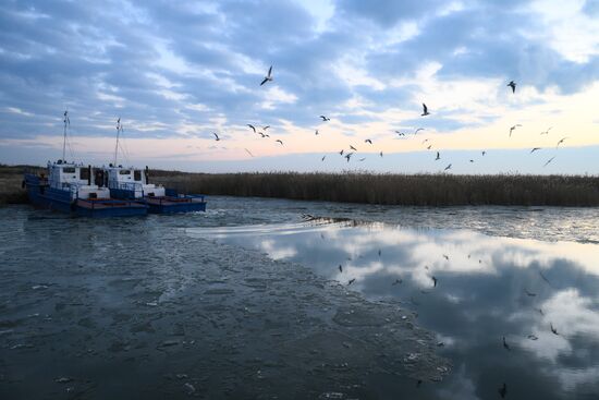 Russia Fish Industry