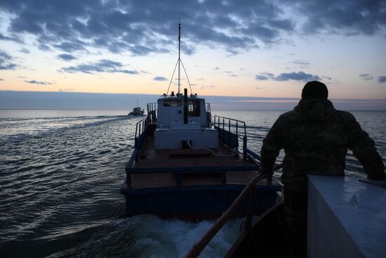 Russia Fish Industry
