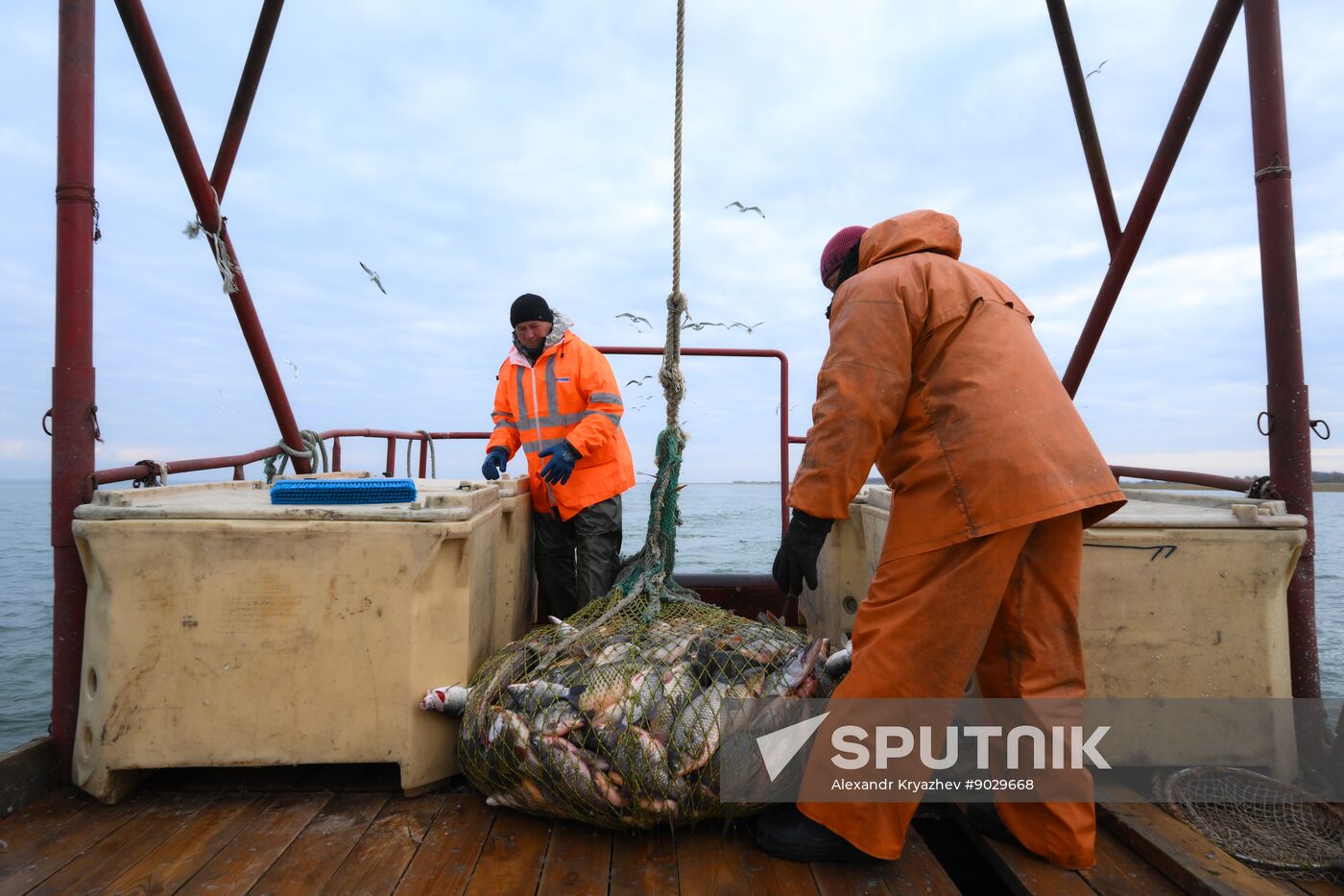 Russia Fish Industry