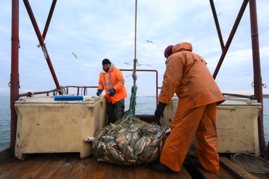Russia Fish Industry