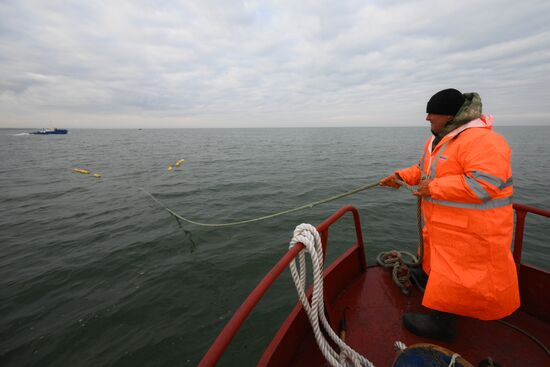 Russia Fish Industry