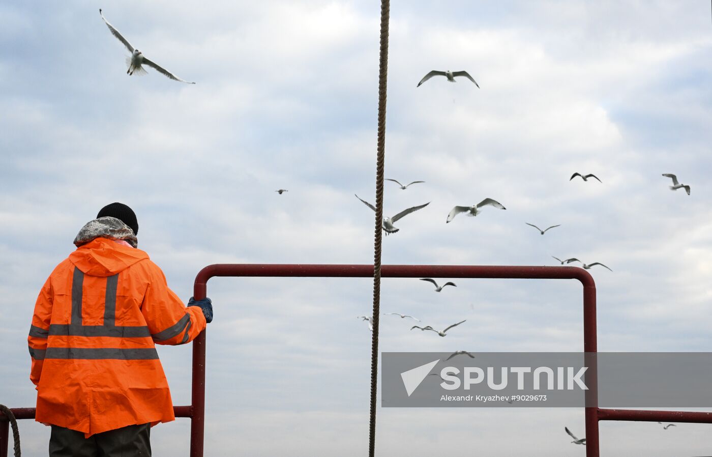 Russia Fish Industry