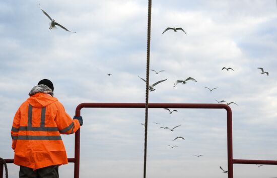 Russia Fish Industry