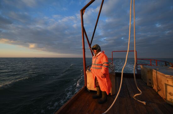 Russia Fish Industry