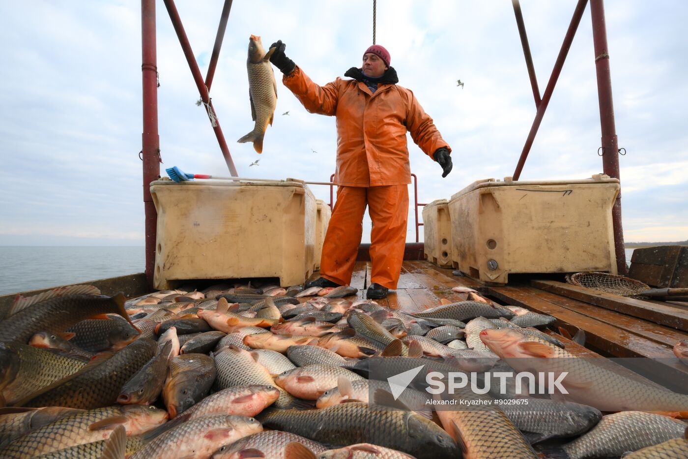 Russia Fish Industry