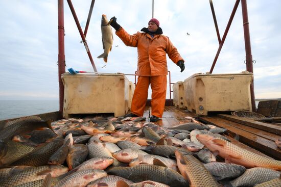 Russia Fish Industry